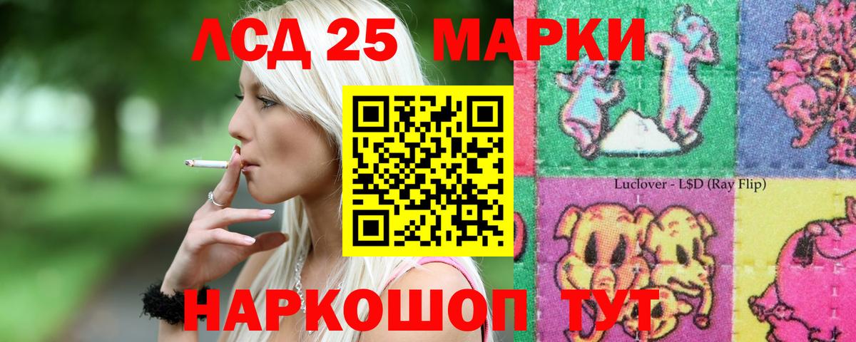ЛСД экстази ecstasy  Вход с VPN  LSD-25 экстази ecstasy  Бердск 